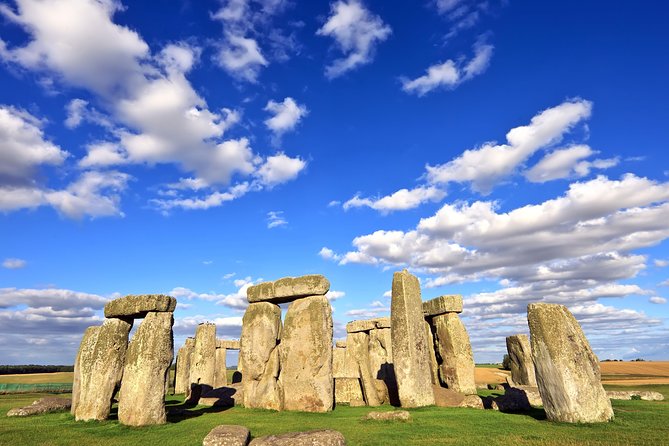 c66